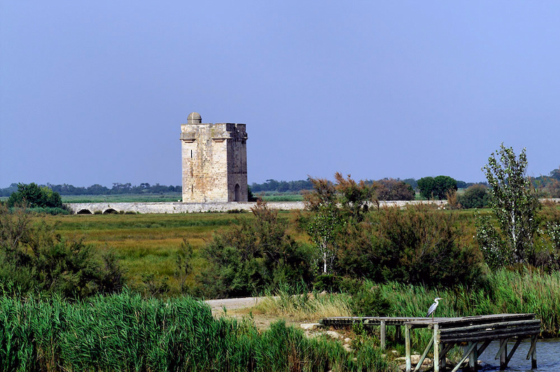 Tour Carbonnière - Aigues Mortes